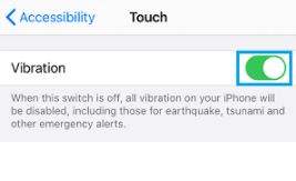 Vibration is toggled on