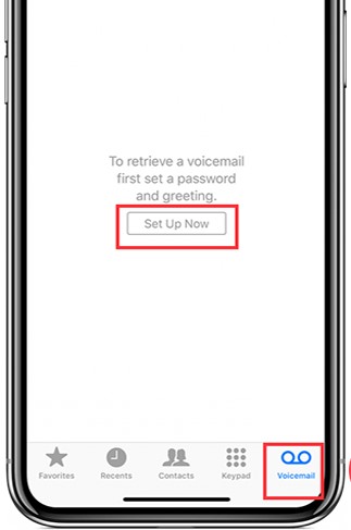 reset your voicemail password