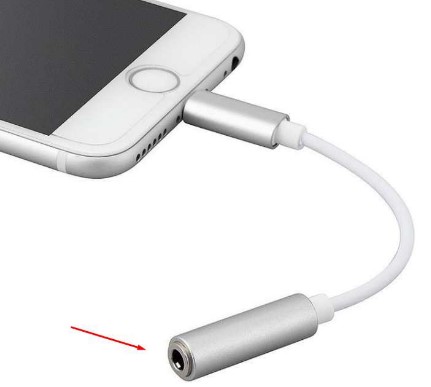 Connect your headphones to the Lightning port