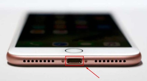 Find the Lightning port on your iPhone