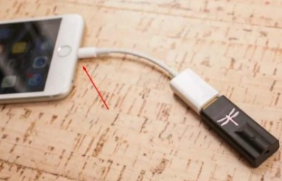 Your phone should be plugged into the Lightning